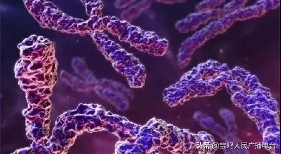 什么叫三体综合征 19c9a87e21414e9faba925609d0bbc8e.jpeg