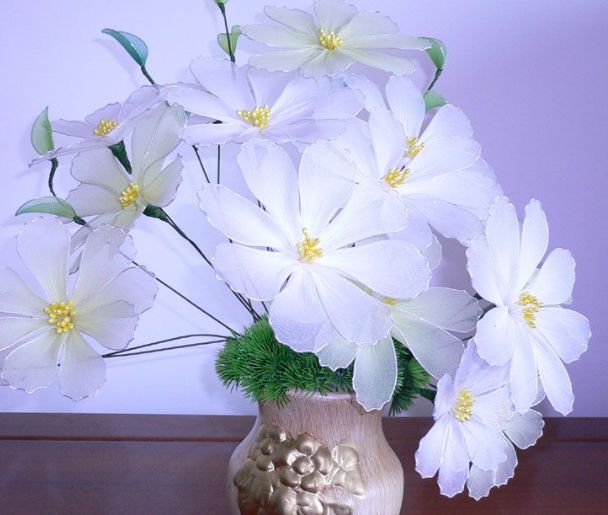 在外人看来,只要有属牛人的家庭一般是不会发生争吵