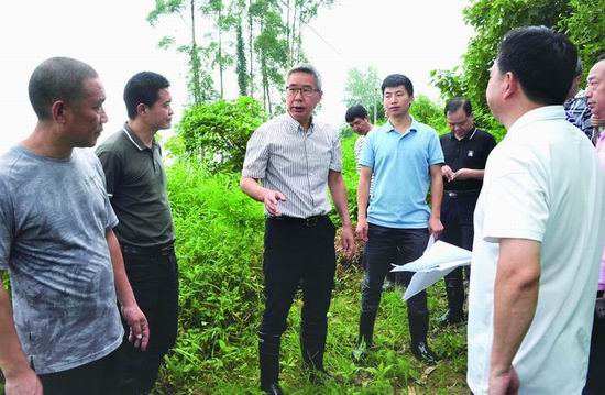 种及灵深入一线检查雨后灾情