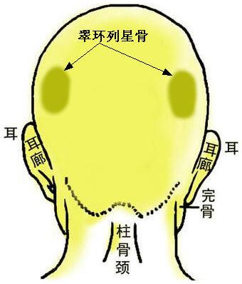 20种富贵骨相