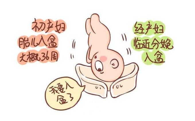 在线揭秘|孕晚期,胎儿入盆的症状及相关注意事项