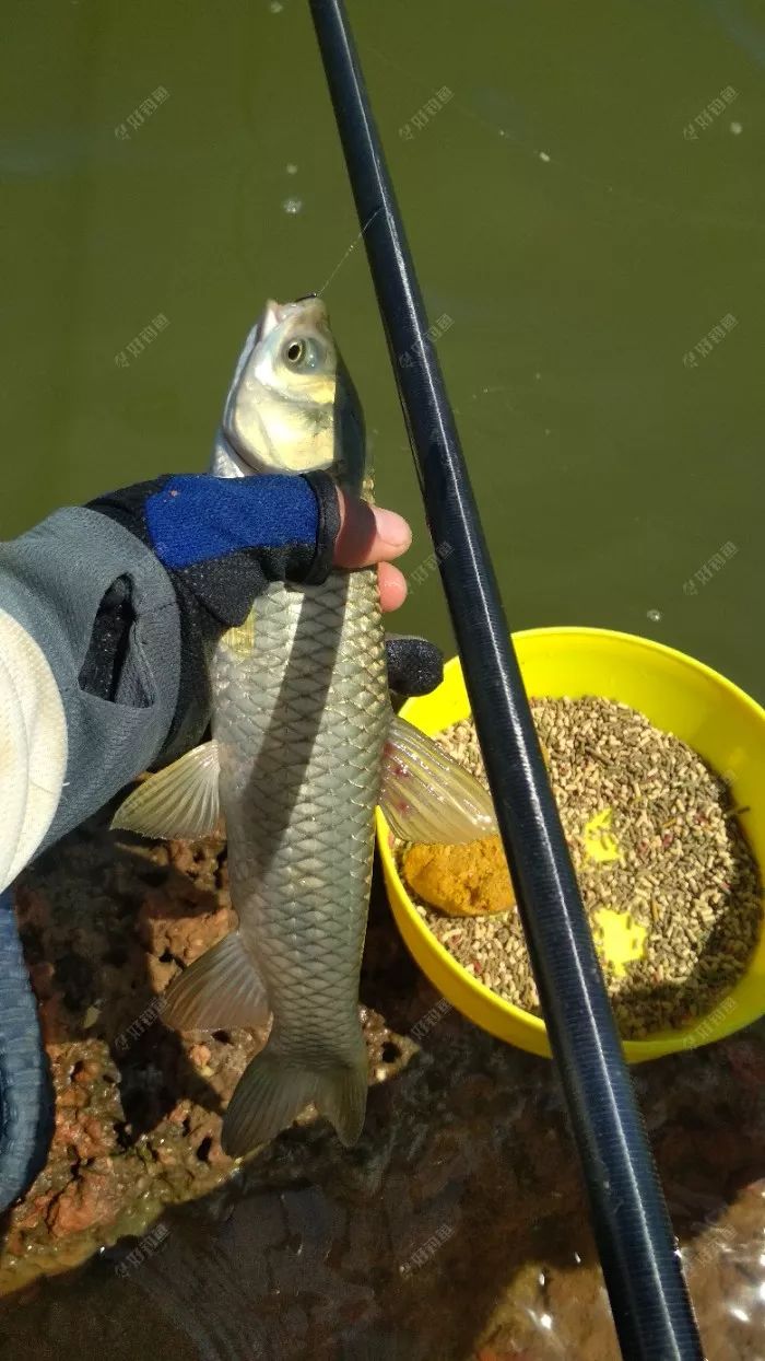 吃什么解百毒最快 29b7b32f3f3f4ca297d6d40ec2883ad5.jpeg