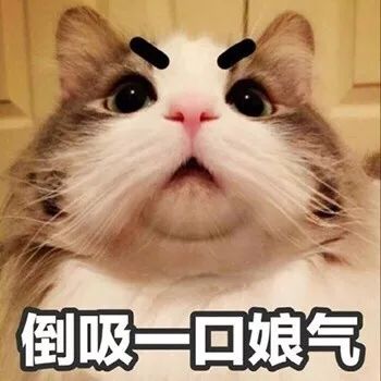 2b84eca705fb42b288a4f5cbe1e65521.jpeg