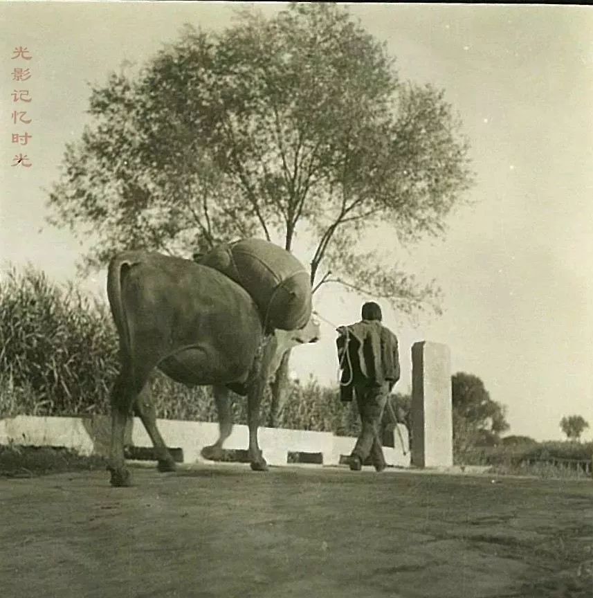 风雅邢台丨曝光1941年老照片:豫让桥的"柳溪春涨"