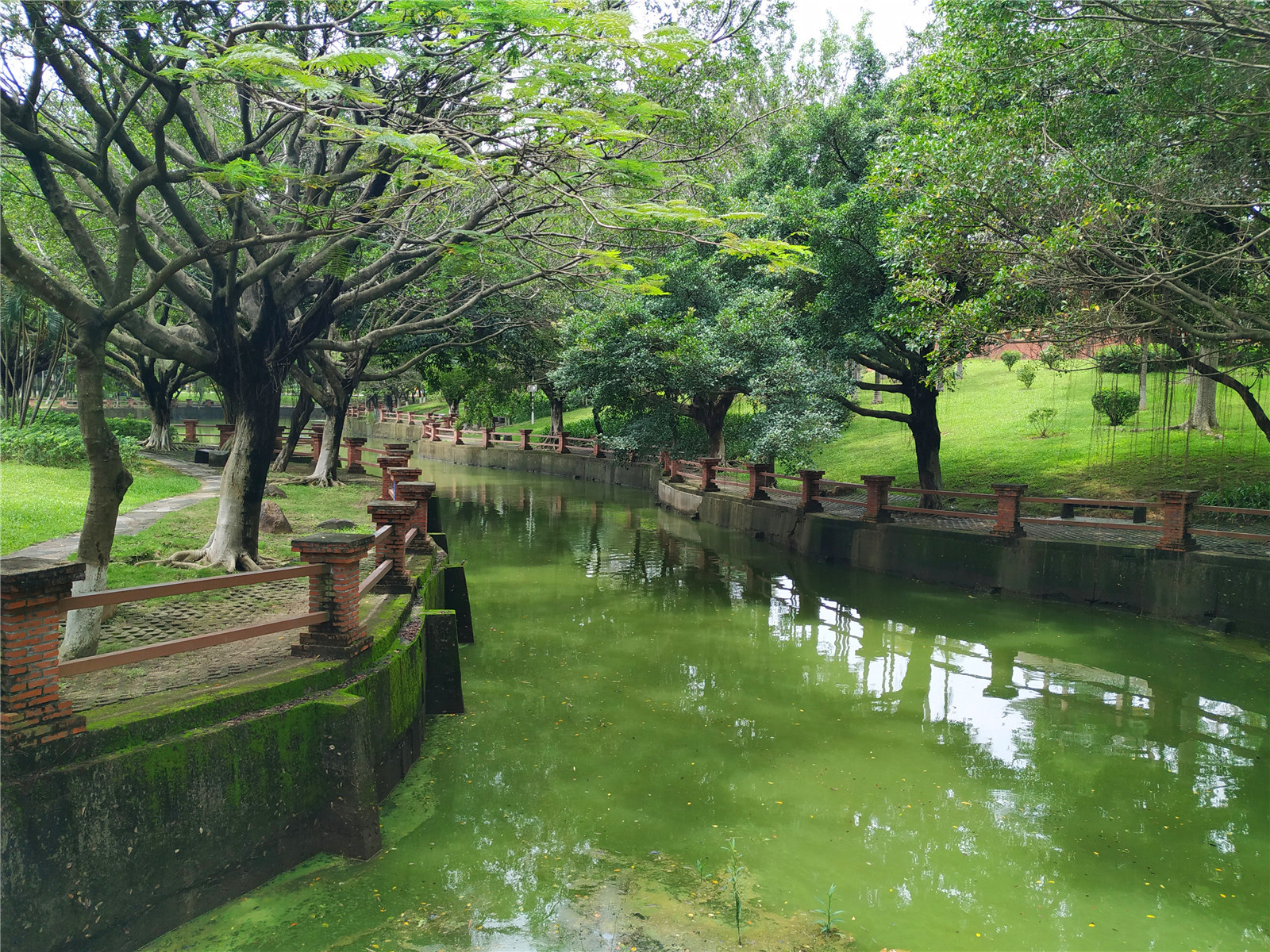 东莞凤岗雁田公园,风景优美,悠闲胜地,想来吗?