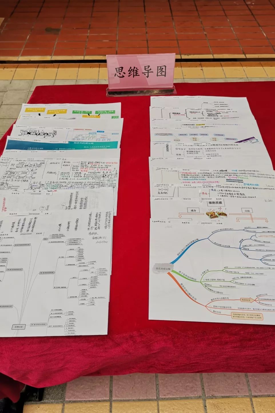 生物与环境学院的论文和思维导图学习笔记