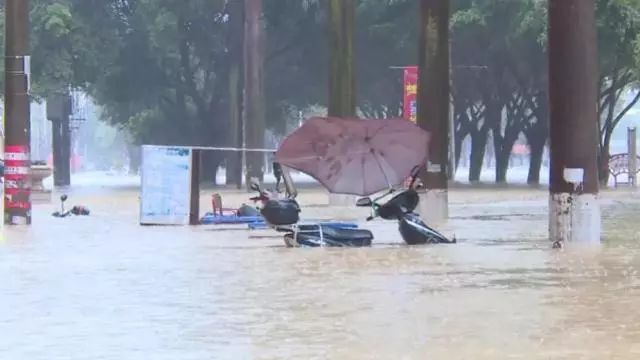 广西暴雨来袭,致灾范围包括.