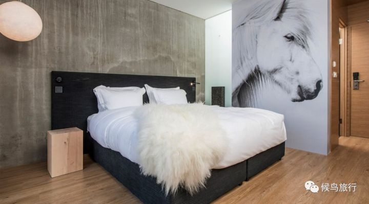 冰岛这家酒店，坐在酒吧就能看极光