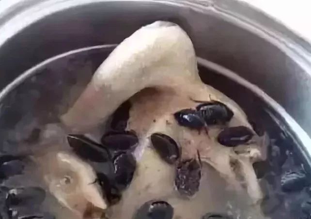 文章配图