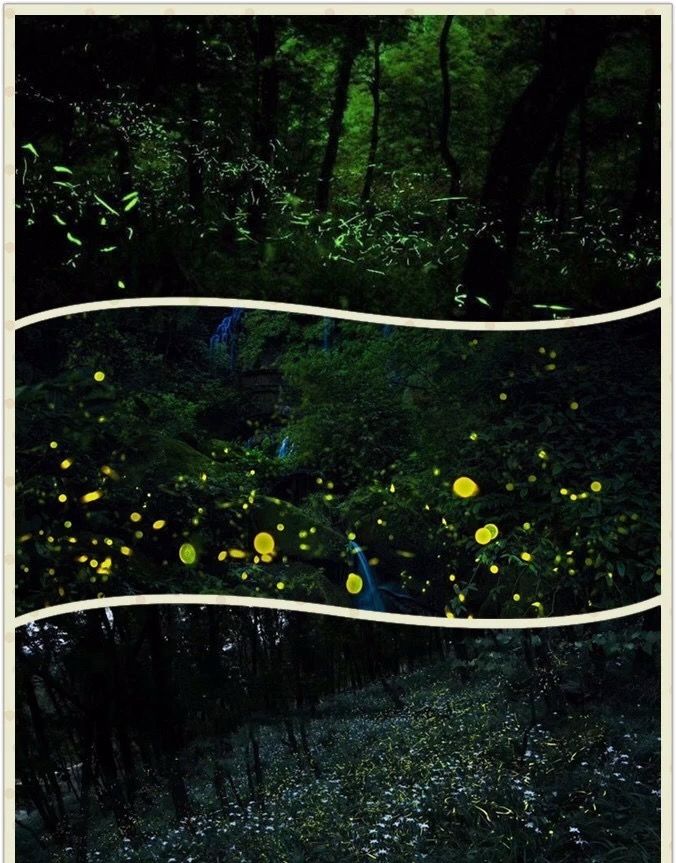 萤火虫发光原理研究 681c5d0b8a1c4048aad035c042f7949d.jpeg