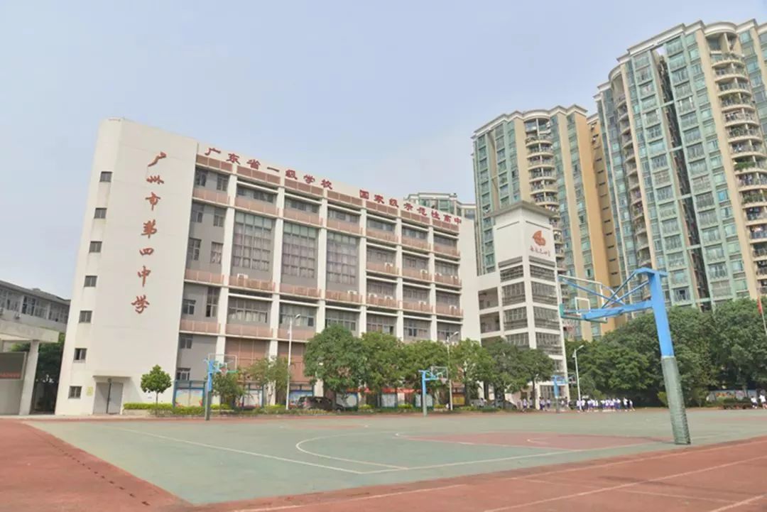 芳村小学, 金兰苑小学 ,林凤娥小学