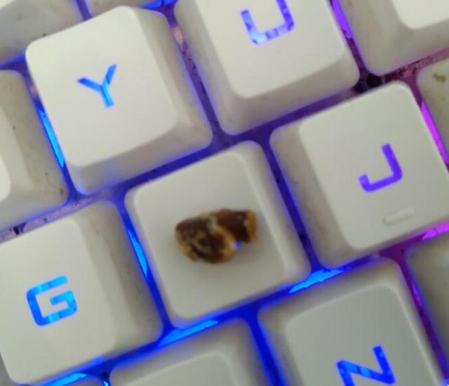                     原创            儿童有耳屎一定要到医院挖？