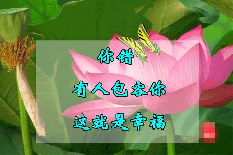 6e46b431e4364f71b60e379ed5671ca9.jpeg