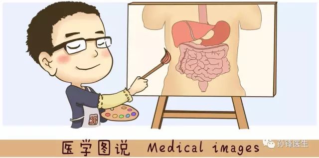 医学图说︱大肠淋巴结群的分类、名称和定义（图表） 大肠淋巴结