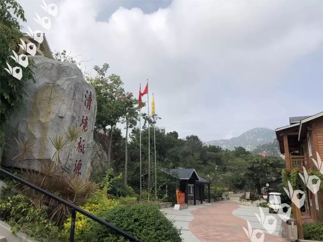 惠安青山湾,开元寺,西街美食,清境桃源二日游,每周六发团_泉州