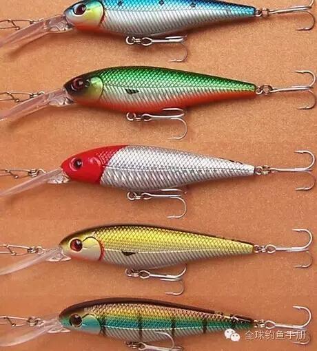 路亚钓鱼入门指导线丨路亚钓鱼基础知识(下)