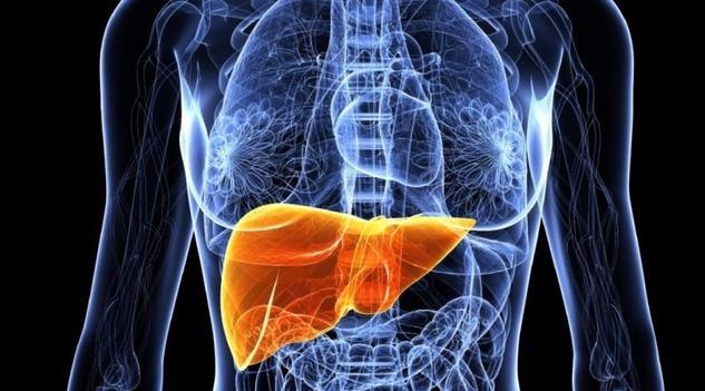 五种食物最易造成肝损伤！医生提醒：常做好5件事情，肝脏才健康:肝损伤饮食