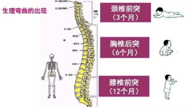 原创孩子一生仅一次脊柱发育黄金期,父母做错这些事,影响身高和气质