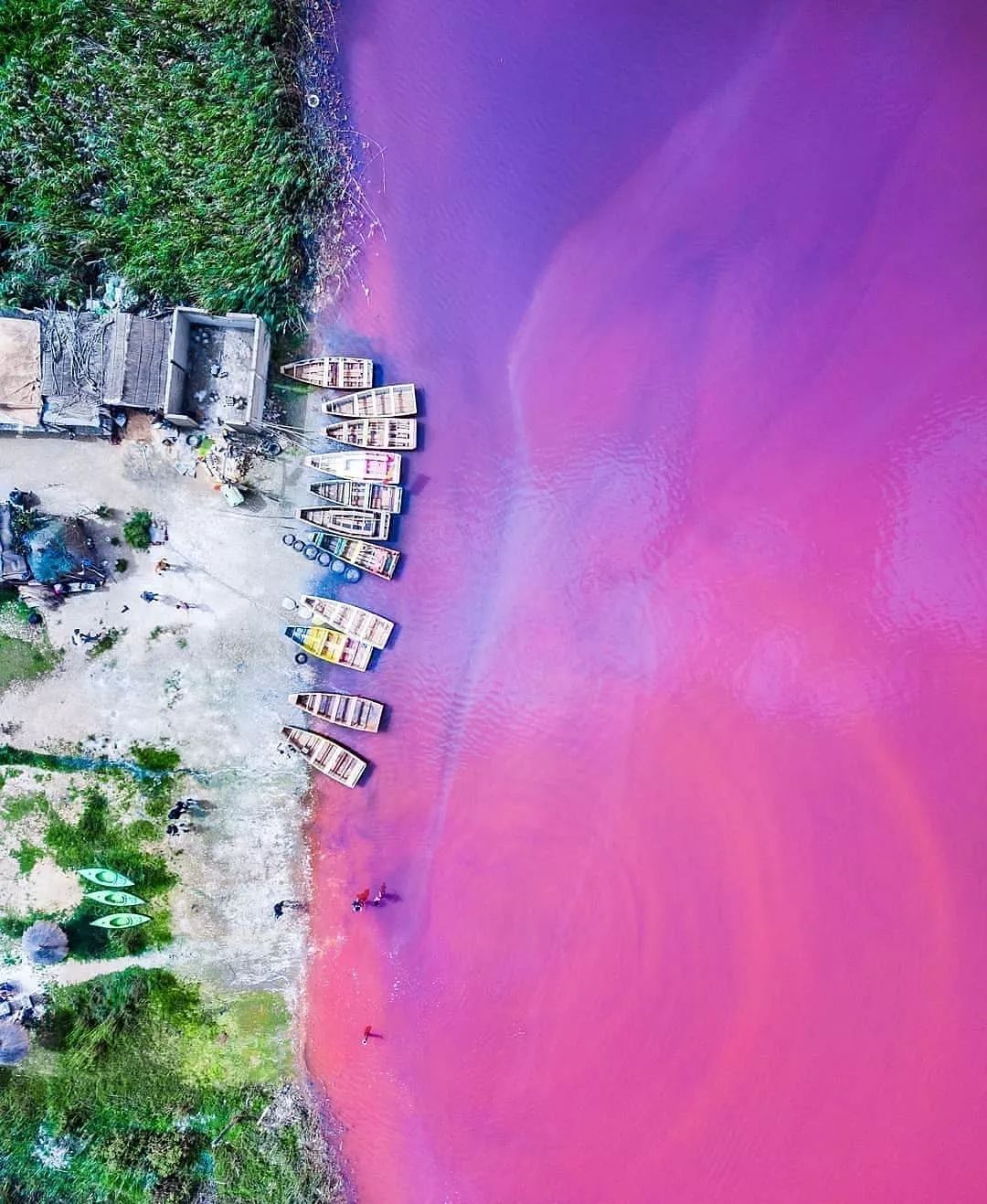 2022粉色湖泊游玩攻略,卡尔巴里的粉红湖是一处十分...【去哪儿攻略】