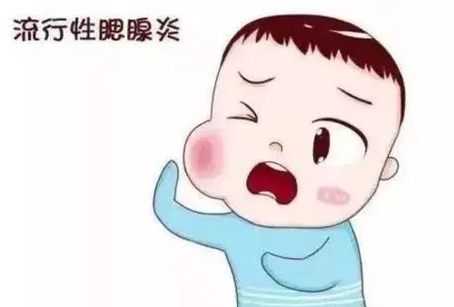 流行性腮腺炎 主要经空气或飞沫传播,病毒可存在于患者的唾液和呼吸