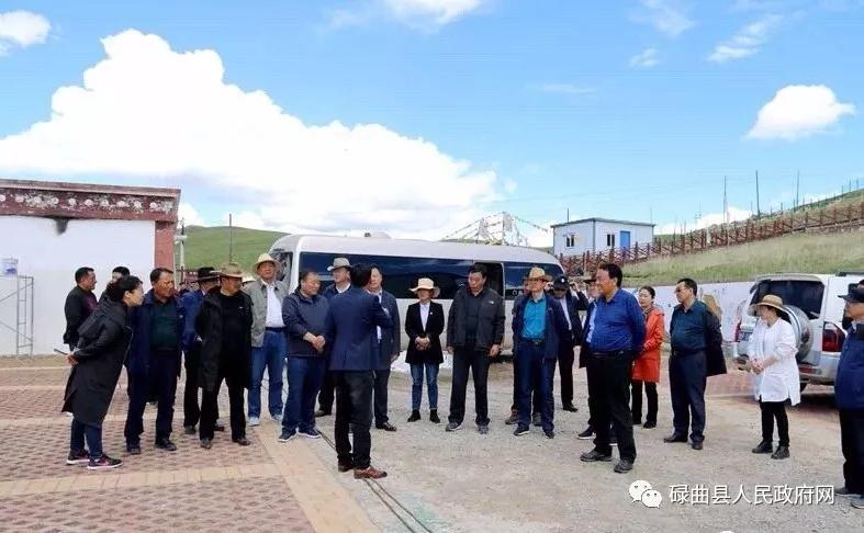 县委副书记县长杨永华带队对"一会一节"重点工作进行
