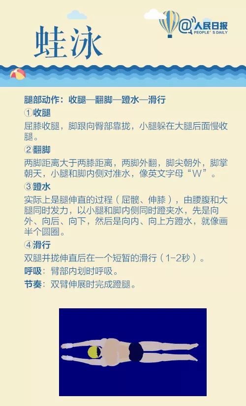 蛙泳,仰泳,自由泳的标准动作是什么?四种泳姿动画分解演示↓↓学起来!