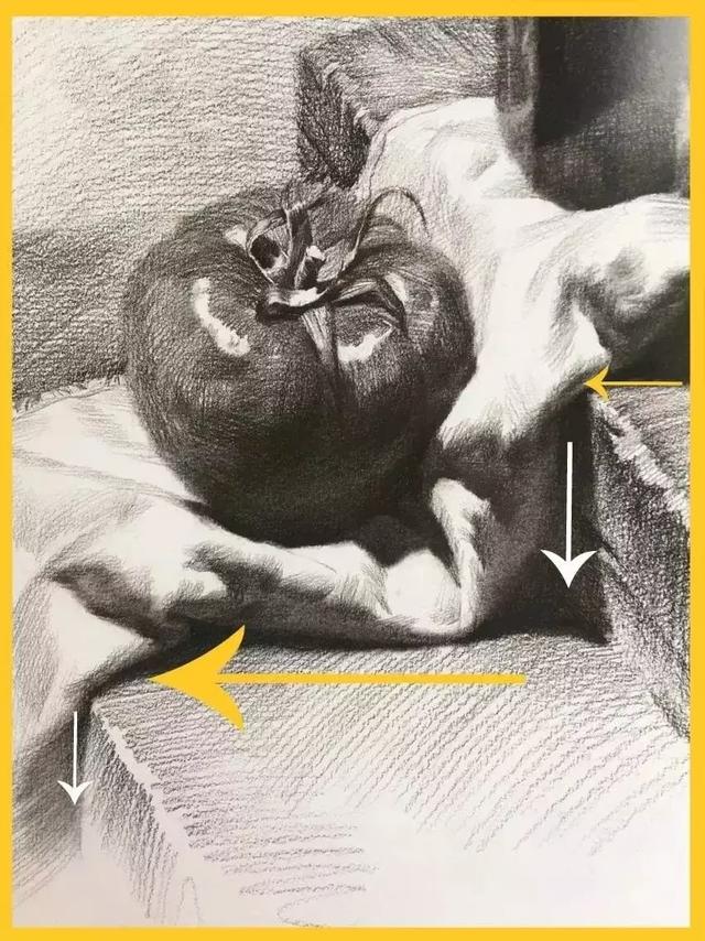 还在担心衬布画不好,素描静物衬布学会了这4个关键点