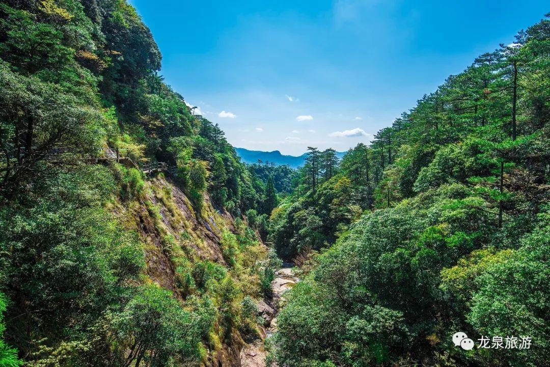 高温预警龙泉最宜避暑的地方在这