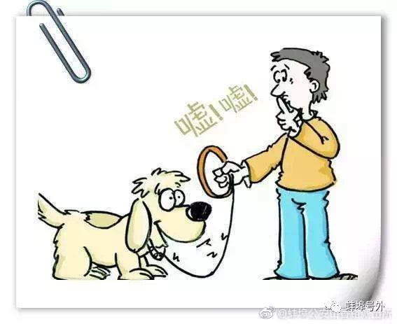 怎么让狗不乱叫不扰民 9c01b083f1dc48388071bb60d6d6d023.png