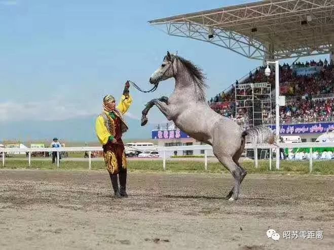 2019中国新疆伊犁天马国际旅游节130项精彩活动速览