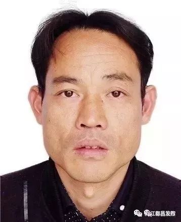 九江人口性别_九江人口分布图(2)