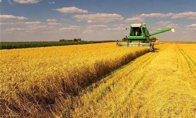 农业农村部：稳定面积提高单产 确保明年粮食产量继续保持在1.3万亿斤以上