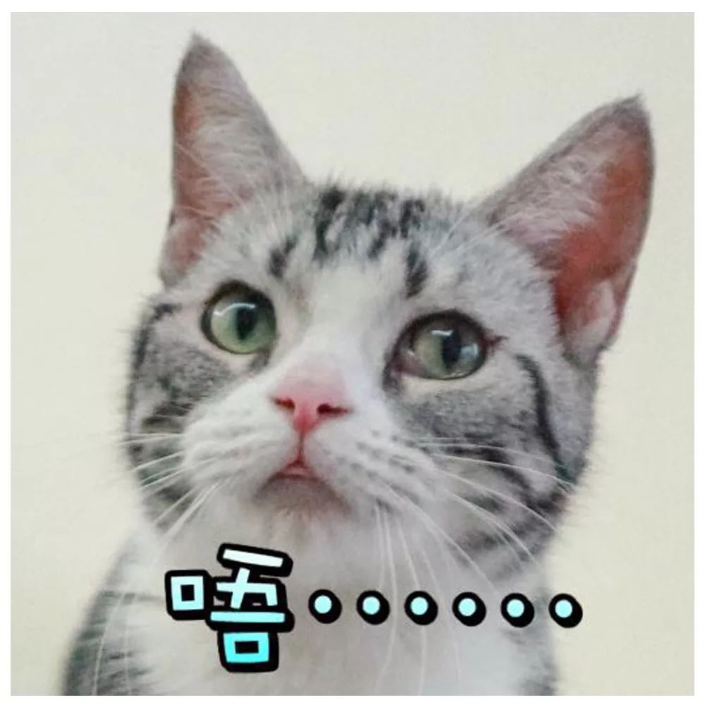 咋办呢只能宠着表情包 a8b938a030c241ff86420ba549451b9a.jpeg