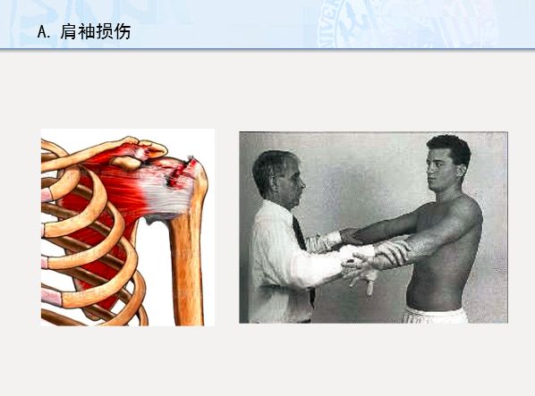 b312ce8192414de9a83f815afd881432.jpeg