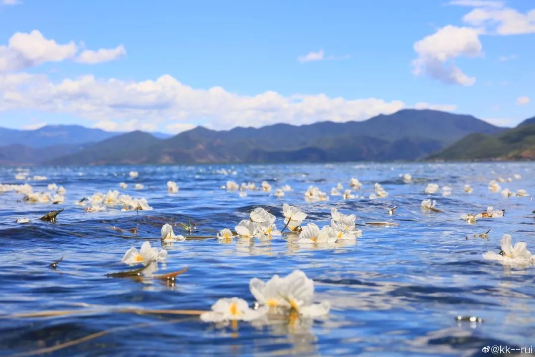 泸沽湖的"水性杨花"火了!又浪又仙,关键是太好吃了