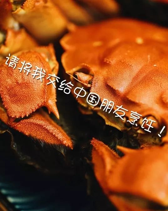c071037af3cb4ed2a7e45b19a1d7ed90.jpeg