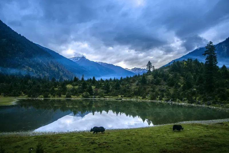 这个夏天我想带你去旅行