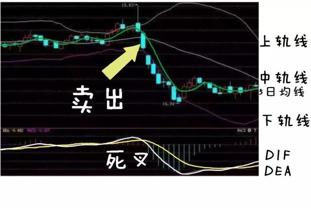 什么叫五日线怎么看 d5e45b4a2d7f4f219250419fe576f078.jpeg