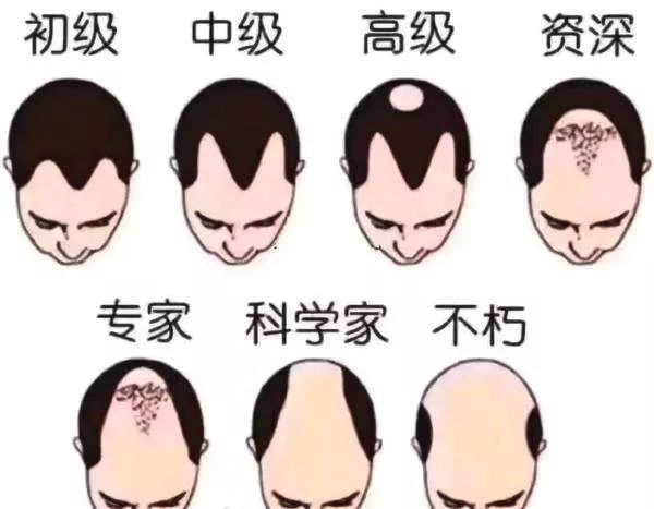 医生对桃桃的头屑和头发标本进行检查,最终诊断桃桃得了头癣.