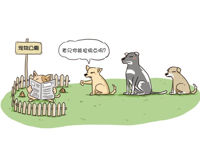 梦境的警示，解析梦见老公掉厕所里快死了的深层含义