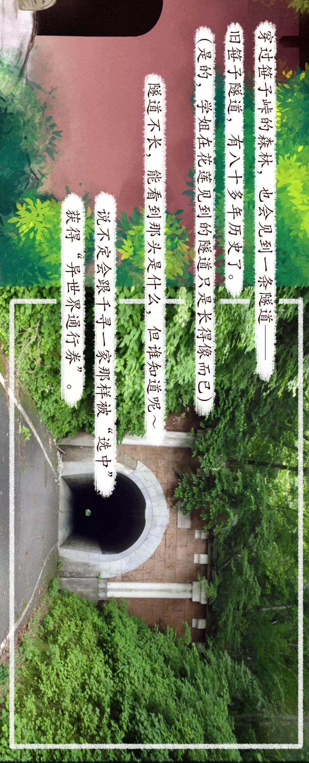 千与千寻「异世界」入口,我给你找到了_隧道