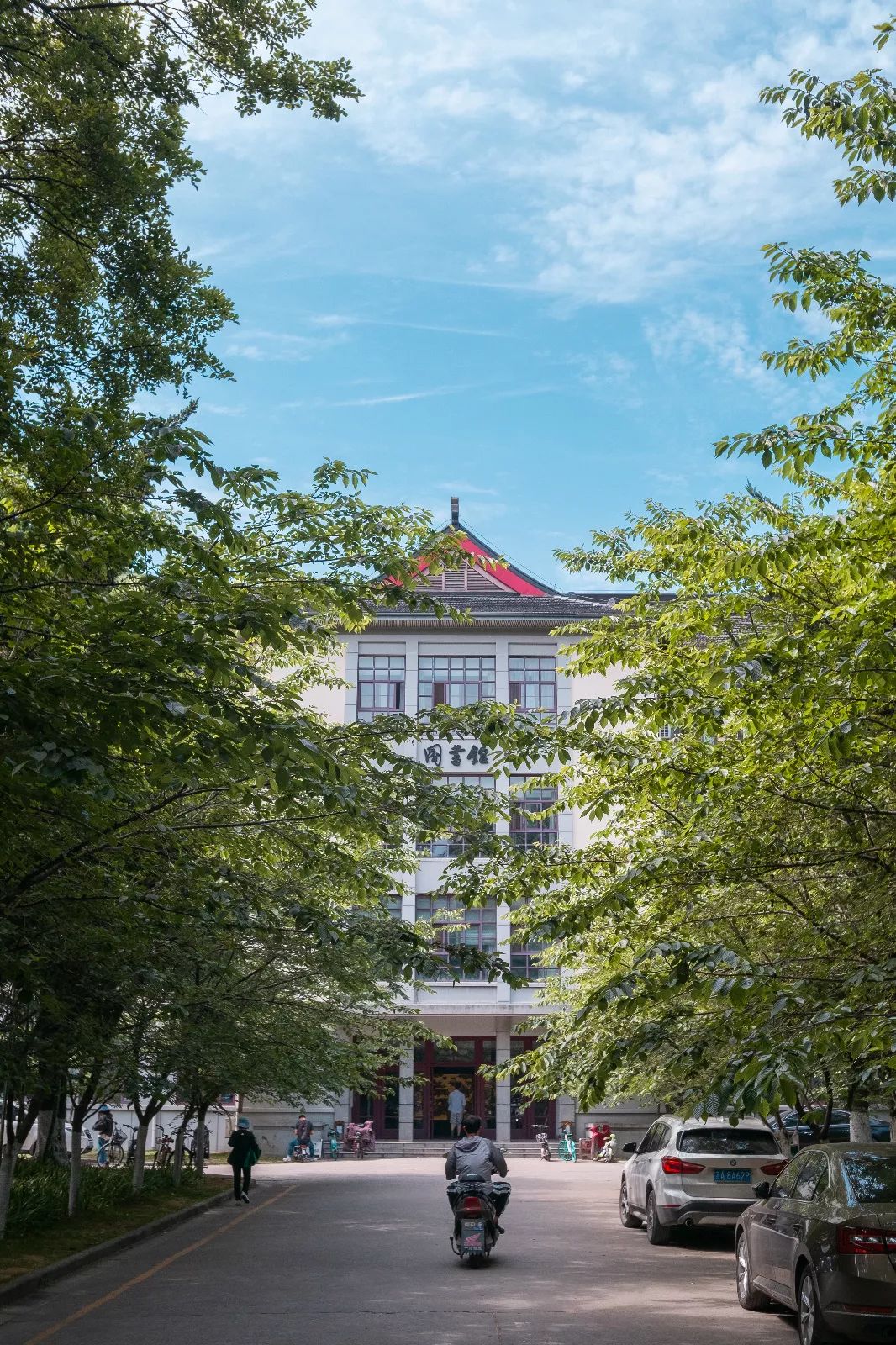 有空吗?一起去南林的天空溜一圈