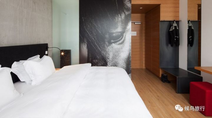 冰岛这家酒店，坐在酒吧就能看极光