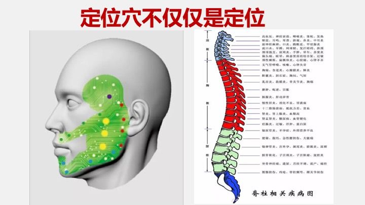 颊针疗法定位穴再思考张树源老师在线专题讲座圆满播出