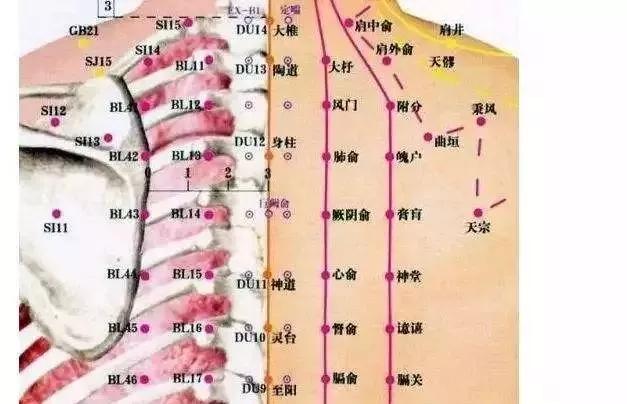 督俞穴:心痛腹痛腹胀肠鸣