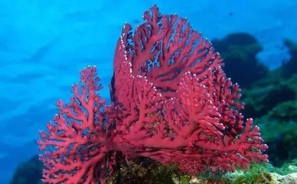 e3e23309e5224feba9a9d562620ebf