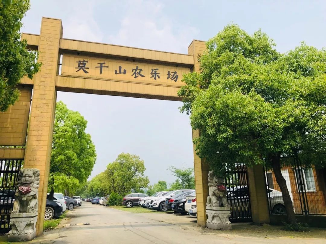 莫干山农乐场团建拓展预约