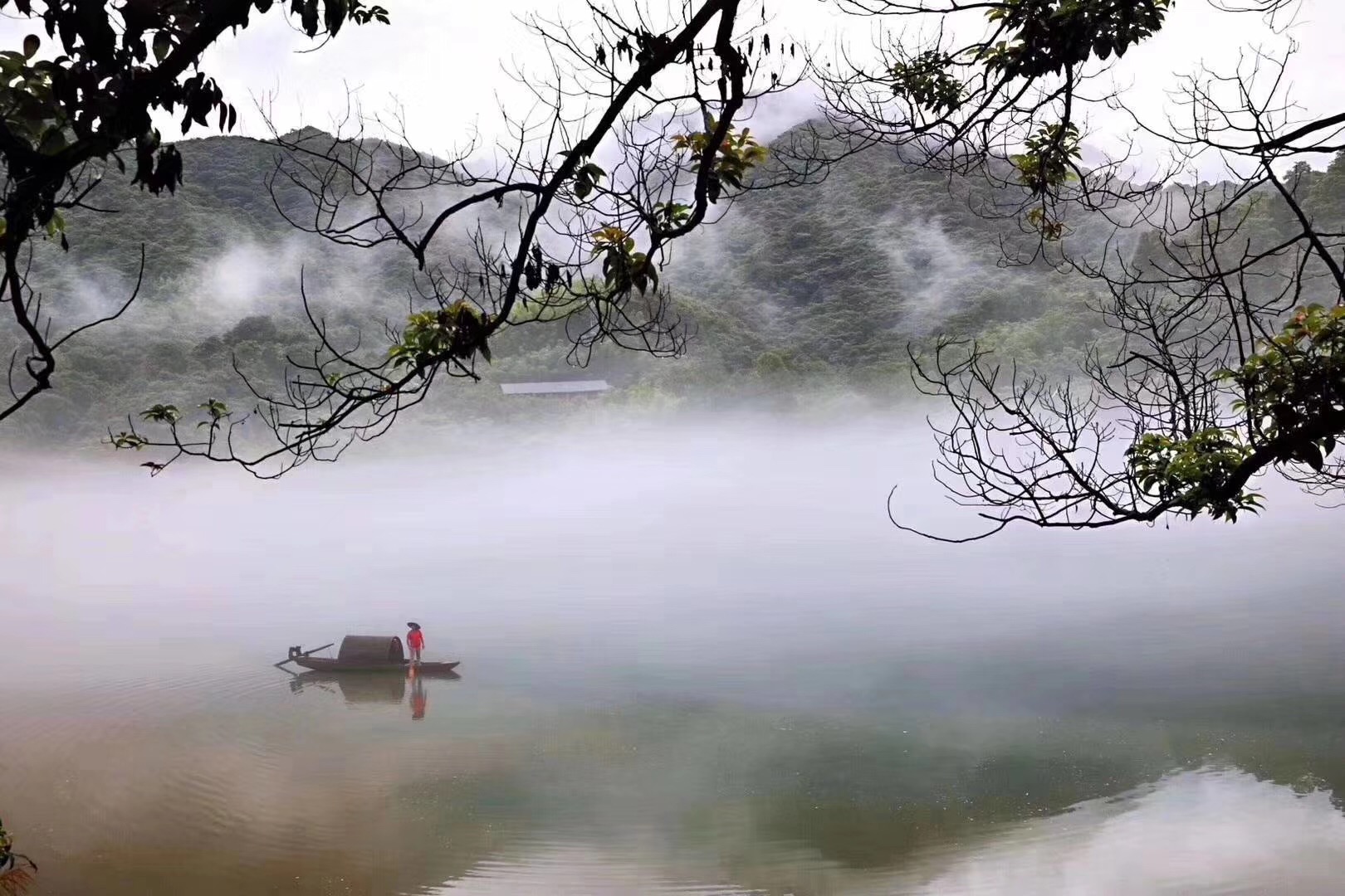 那种幽深绵缈的意境简直就是一幅幅自然天成的中国山水画.