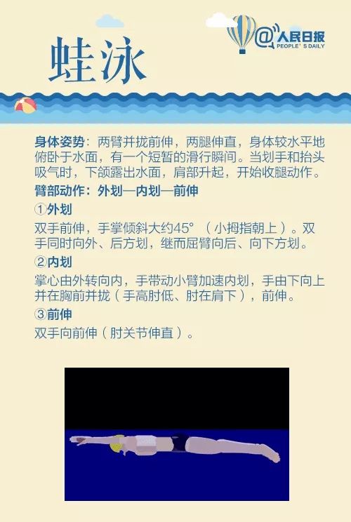 蛙泳,仰泳,自由泳的标准动作是什么?四种泳姿动画分解演示↓↓学起来!
