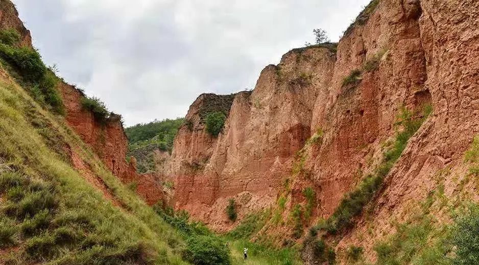 延绵起伏,密集呈现出梁,峁,沟,柱,崖等各类齐全的黄土地貌景观